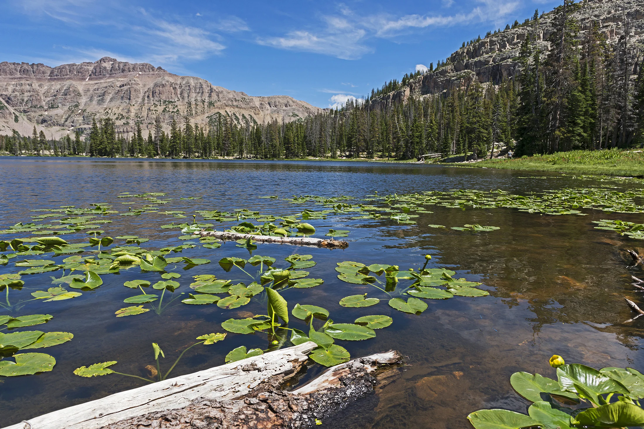 ParkCityForTara-018.jpg