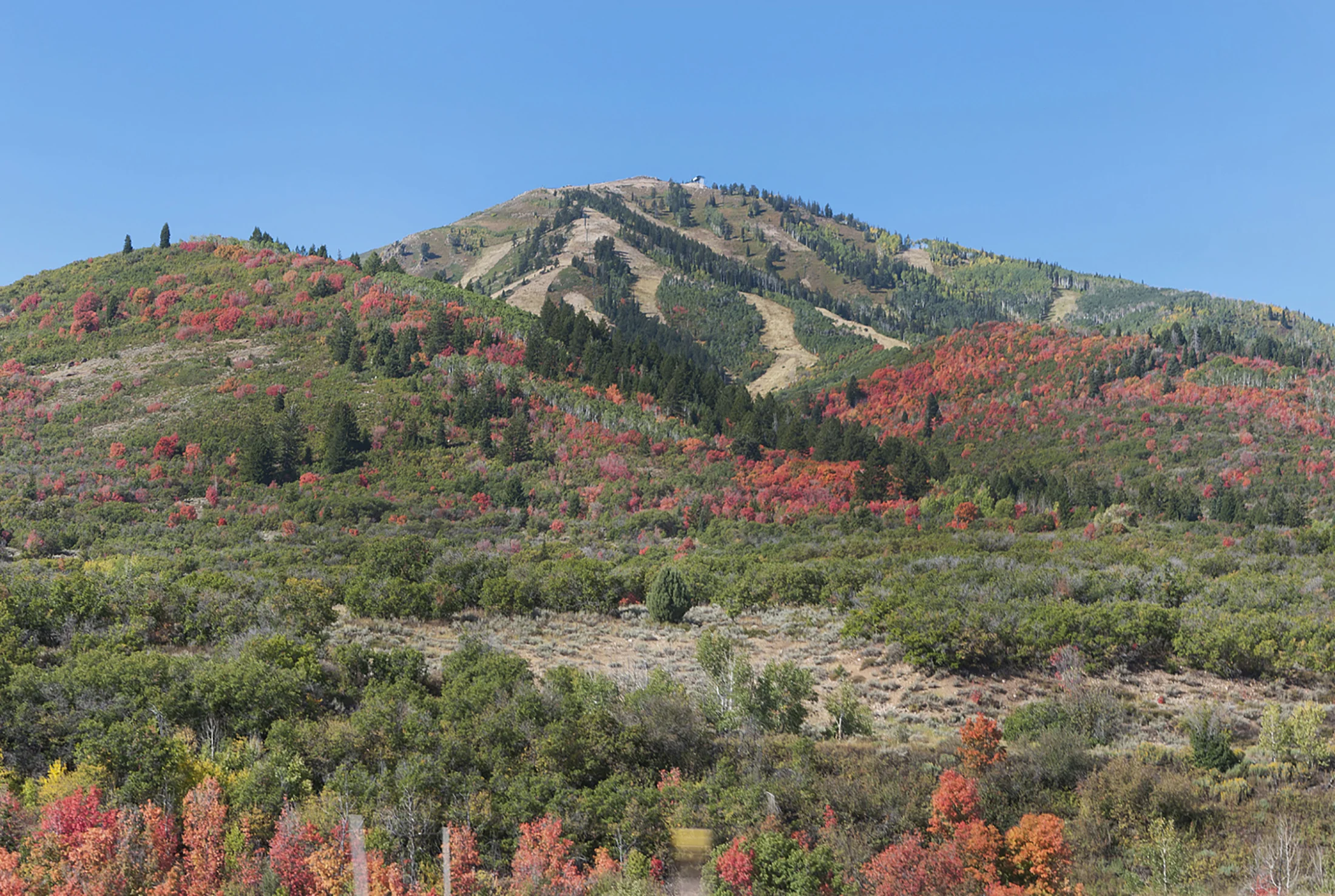 ParkCityForTara-066.jpg