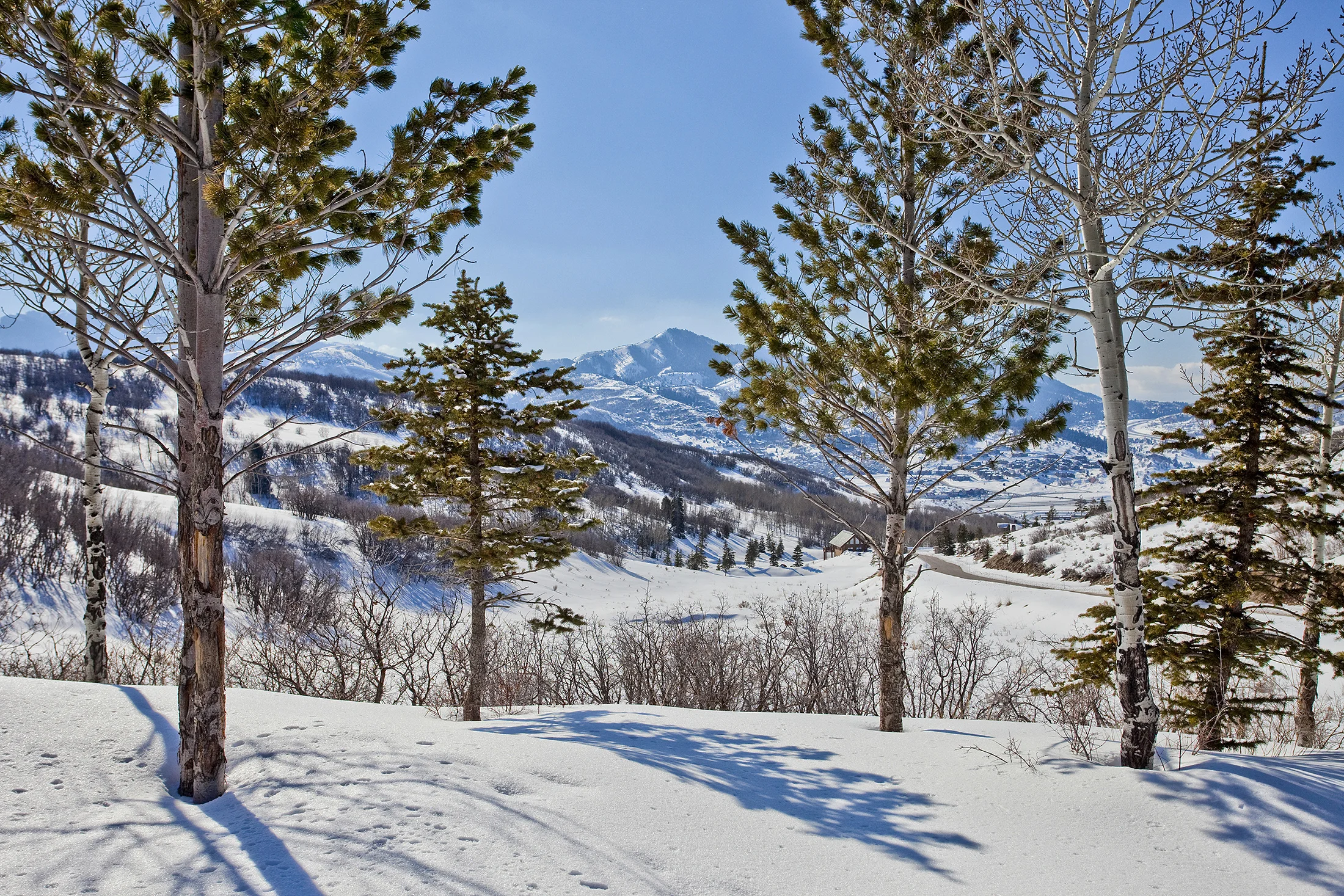 ParkCityForTara-076.jpg