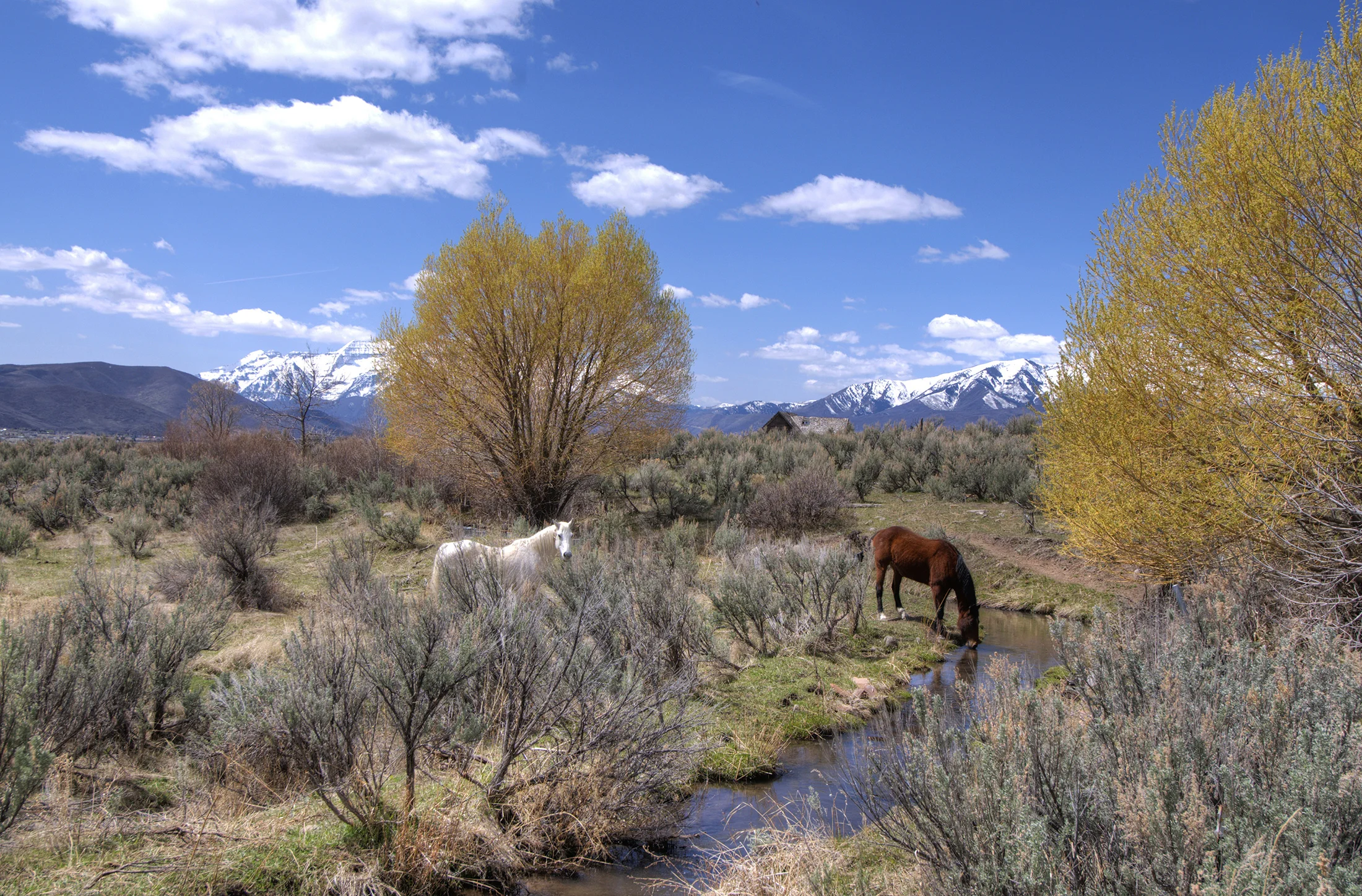 ParkCityForTara-094.jpg