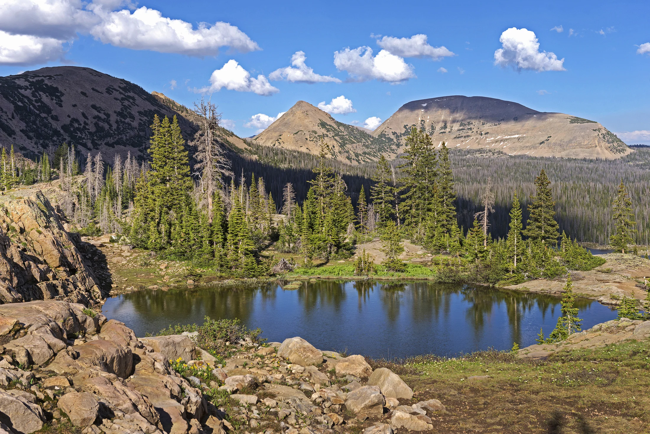 ParkCityForTara-109.jpg