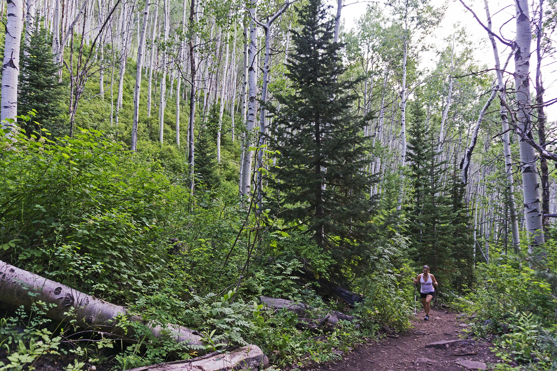 ParkCityForTara-114.jpg