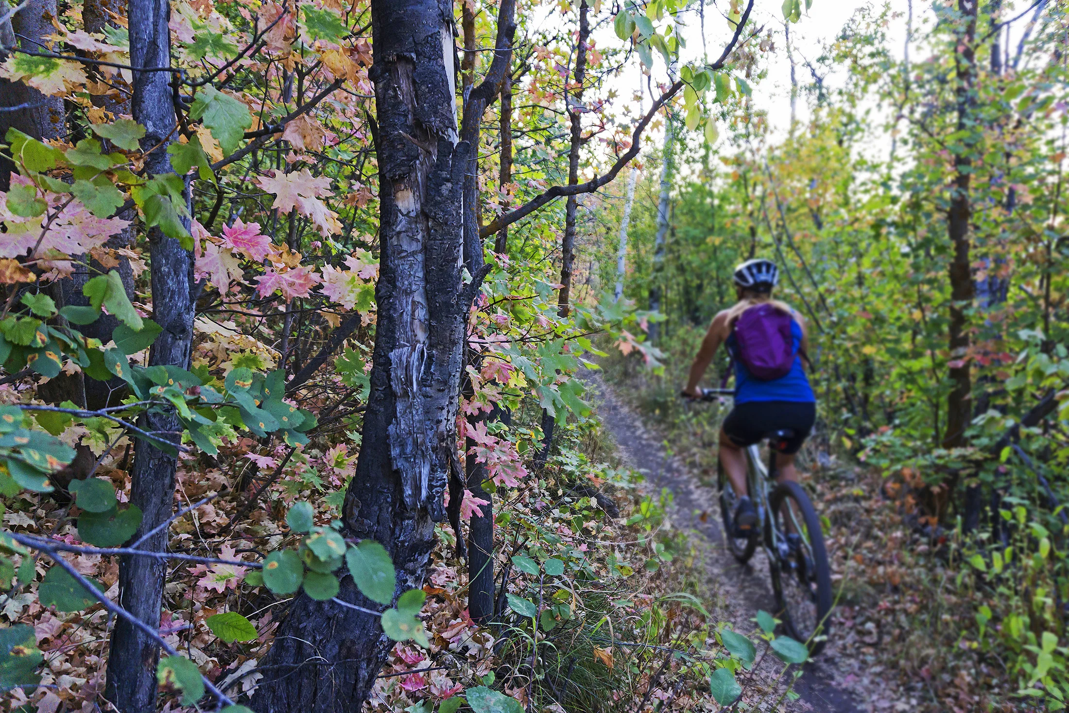 ParkCityForTara-126.jpg