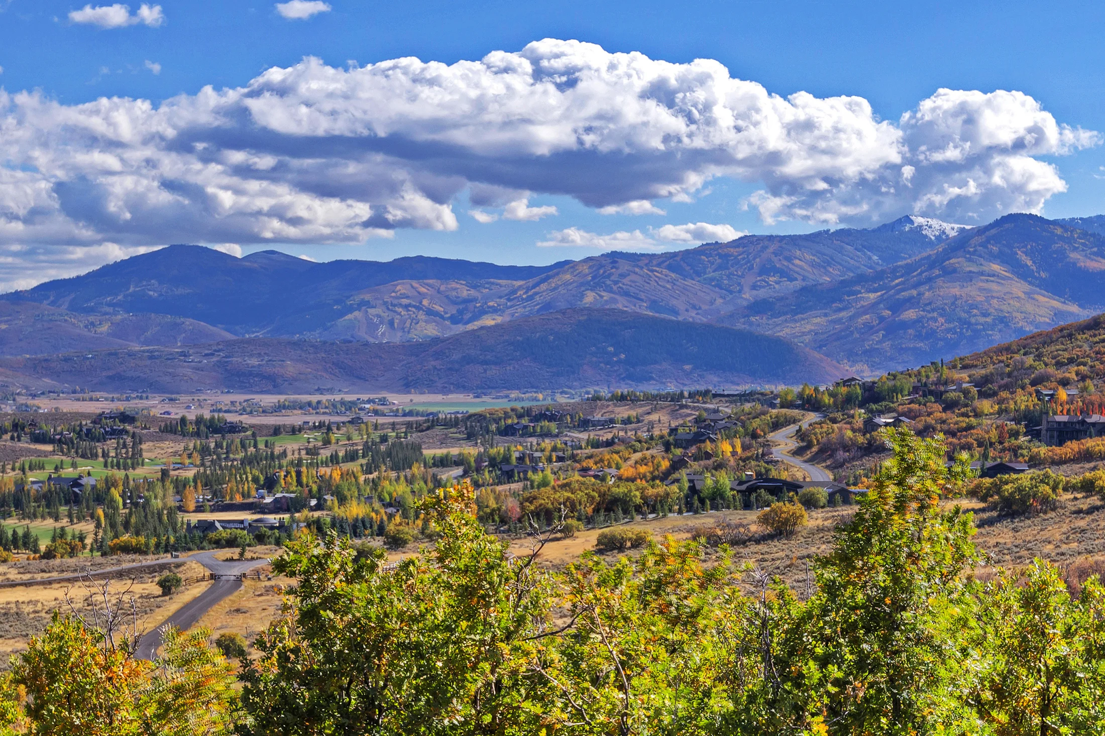 ParkCityForTara-134.jpg