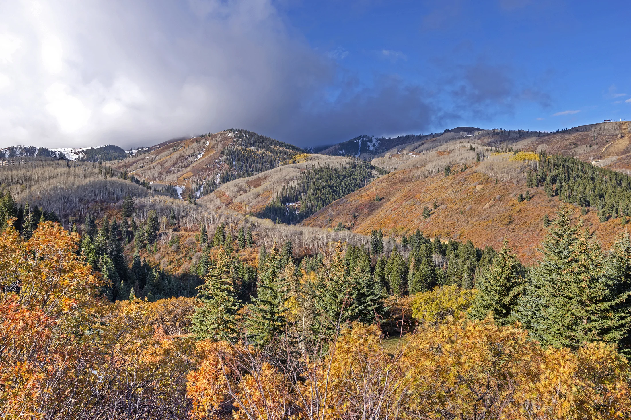 ParkCityForTara-136.jpg