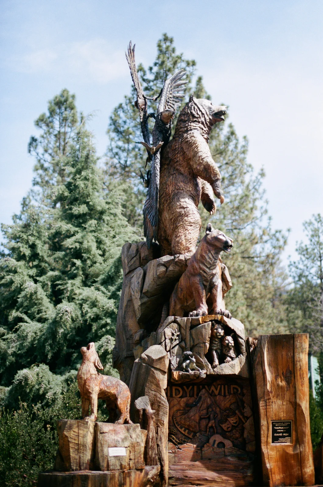 Trip to Idyllwild