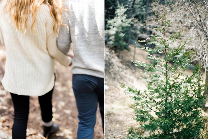 idyllwild-engagement-photography_0076.jpg