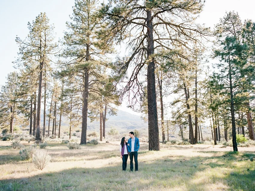 idyllwild-mountain-engagement-photography_0001.jpg