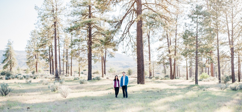 idyllwild-mountain-engagement-photography_0005.jpg