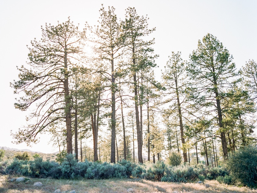 idyllwild-mountain-engagement-photography_0013.jpg