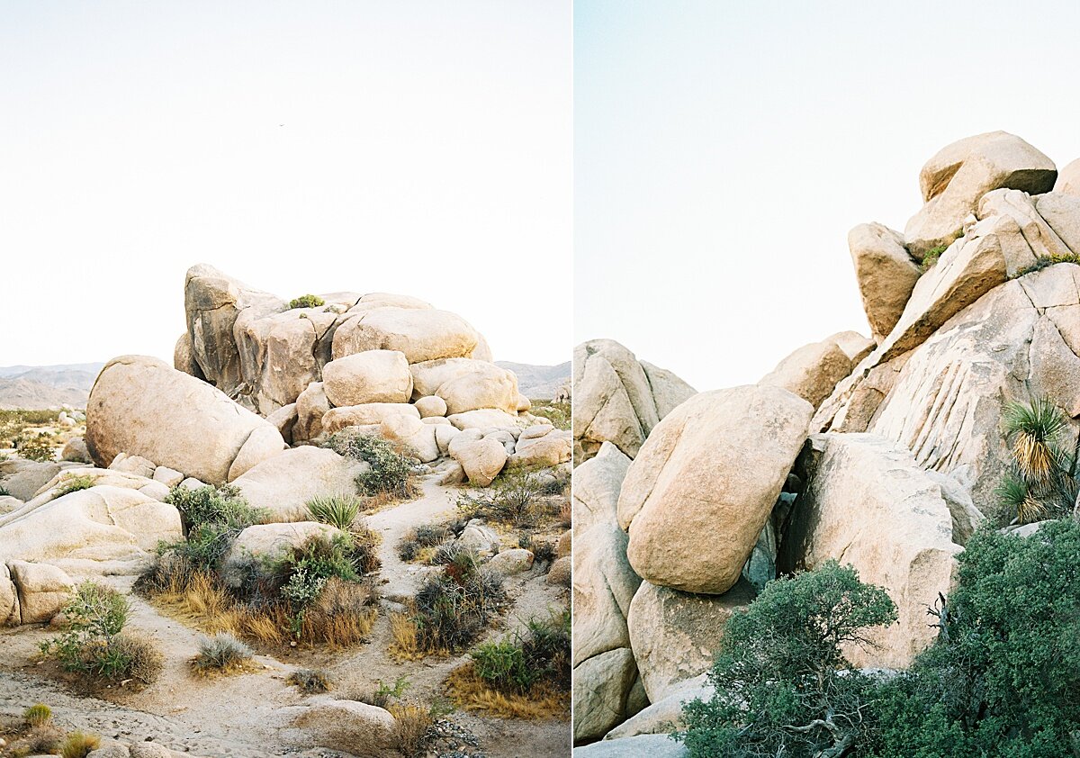 joshua-tree-engagement_0014.jpg