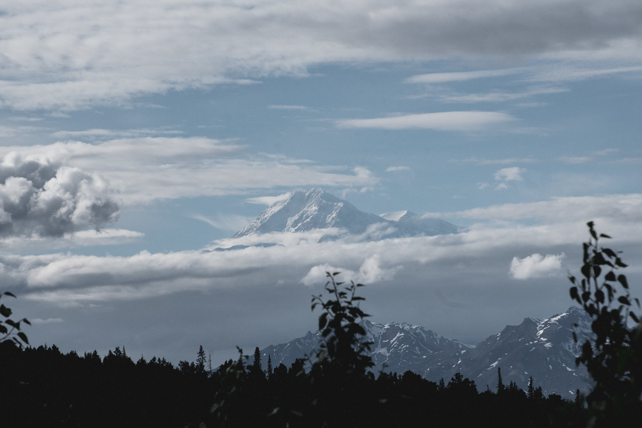 DSC_0406.jpg