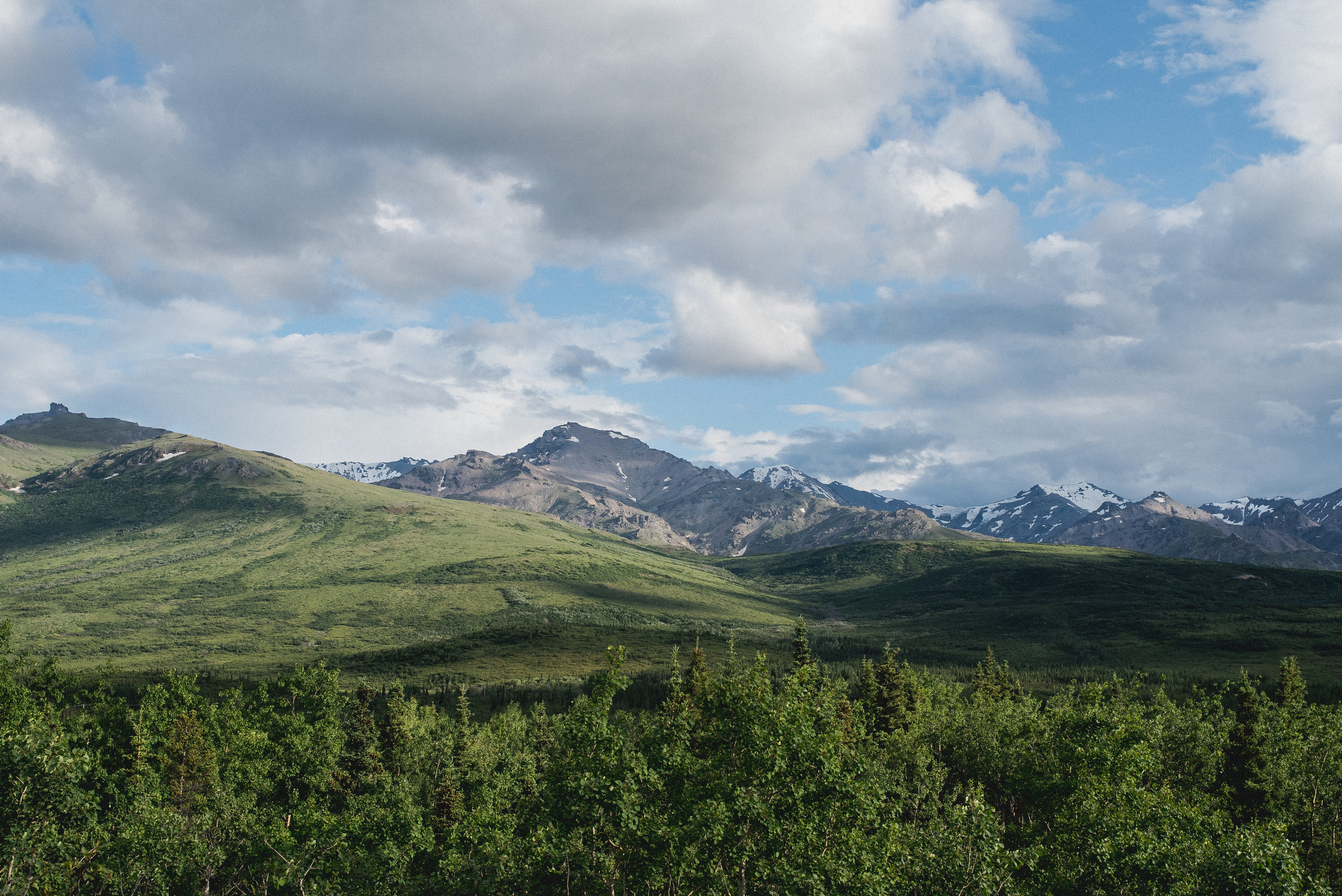 DSC_0535.jpg