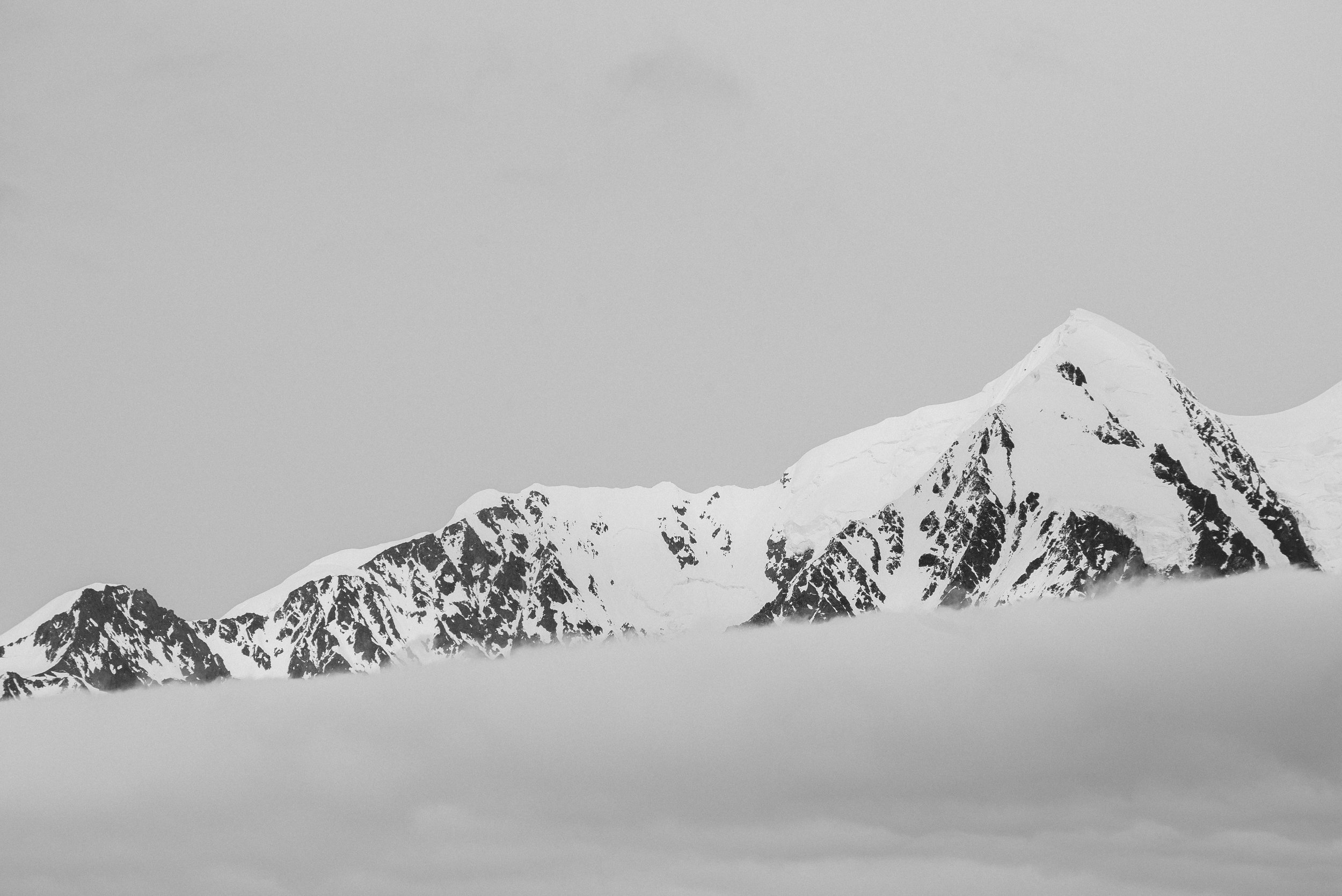 DSC_0786.jpg