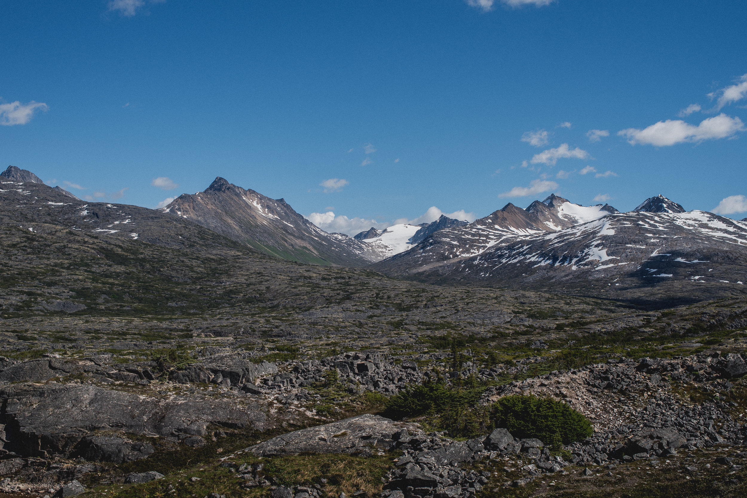 DSC_0949.jpg