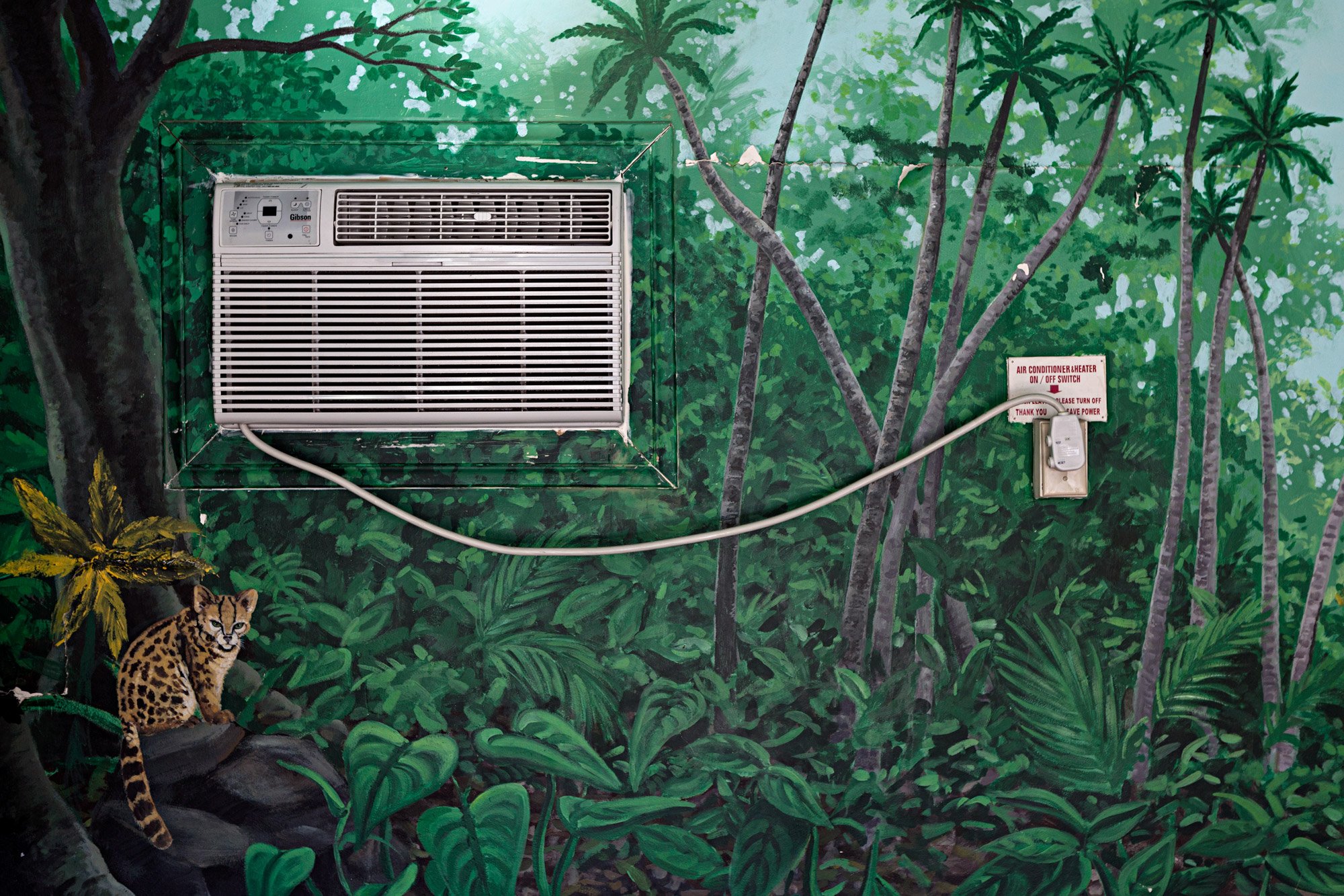 Geoffrey-Ellis-Jungle-Room-2000px.jpg