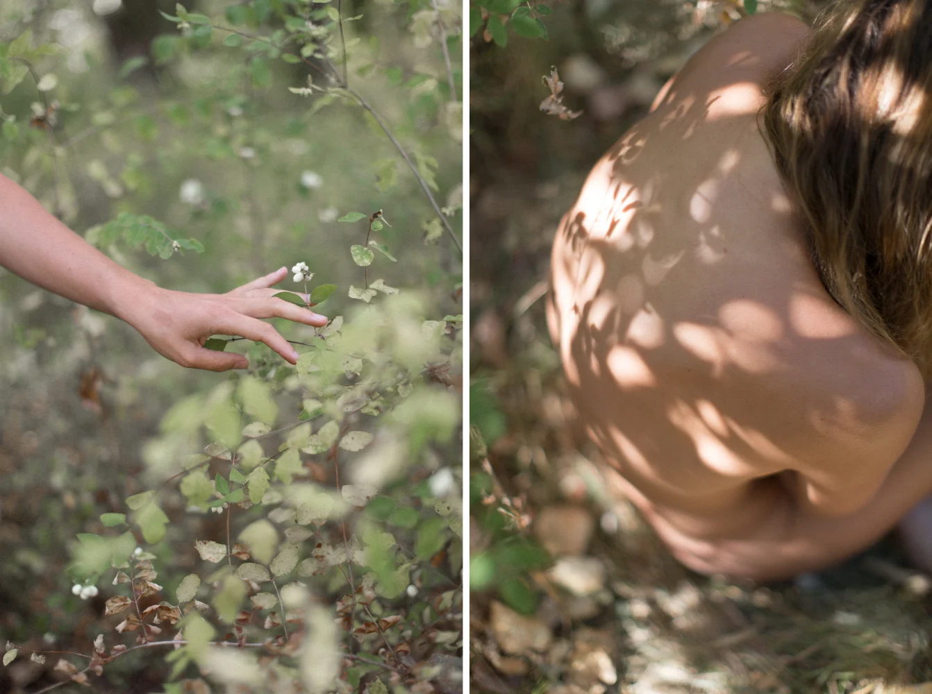 Olivia_Ashton_Photography_Nature6.jpg