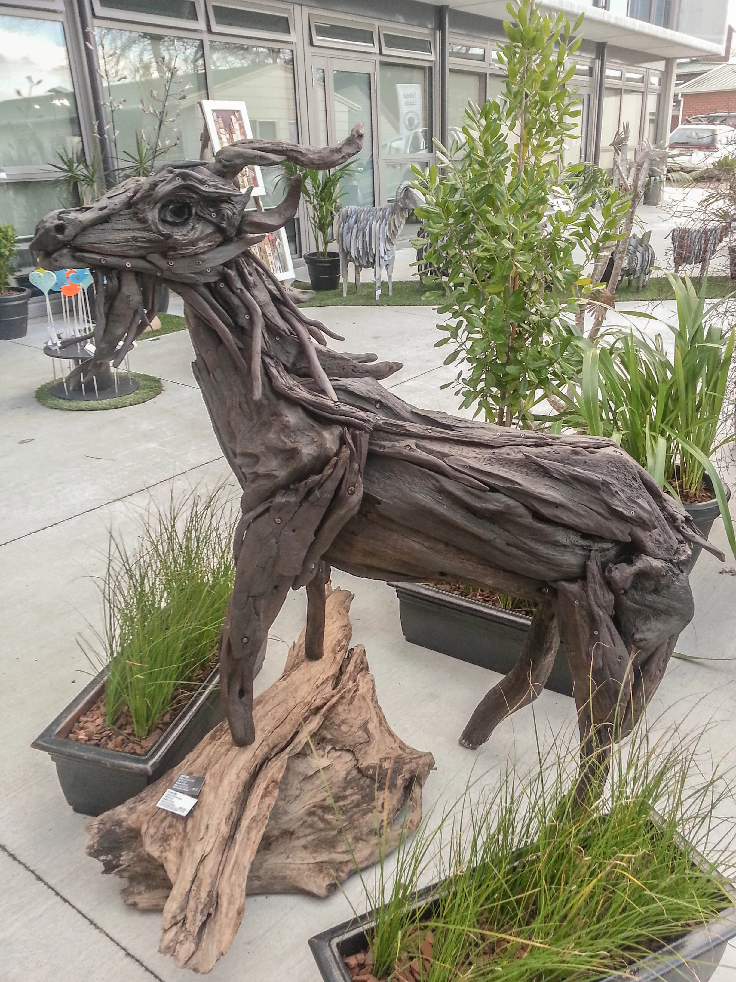20130913_172502.jpg