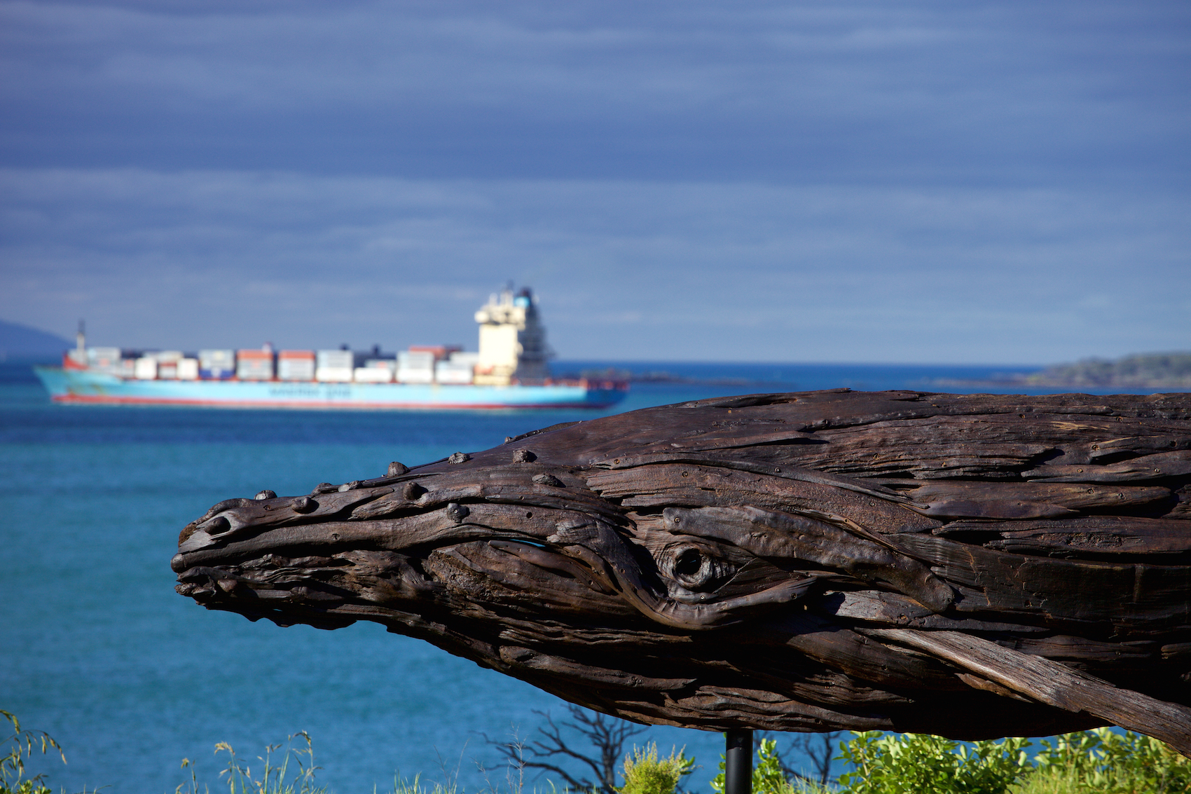 Photo by Mark Meradith http://scribblesnz.com/