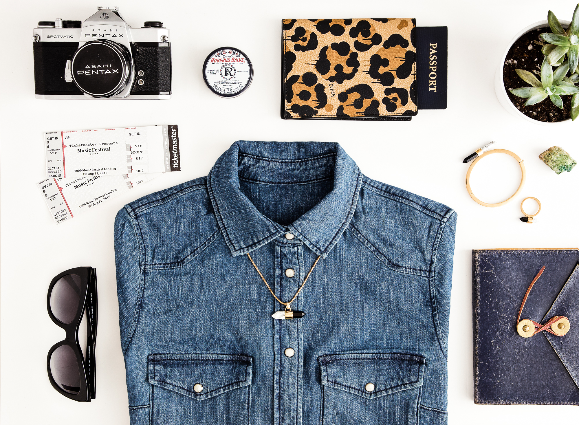  Wild Beast Festival Style by Coach shot by Commercial Photographer Anna Webber for Ticketmaster 