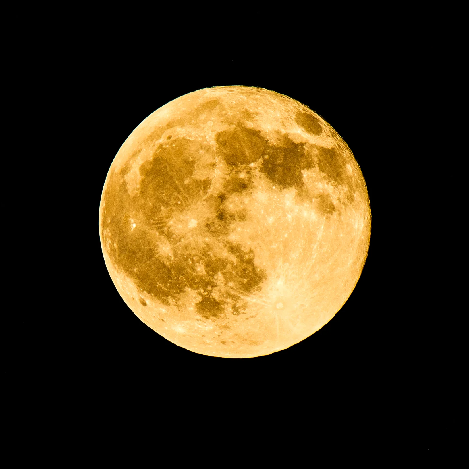 MoonShots_Aug2017-7948-2.jpg