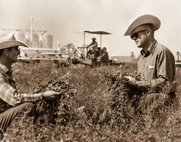 11x14 Edited Sunglasses-2.jpg