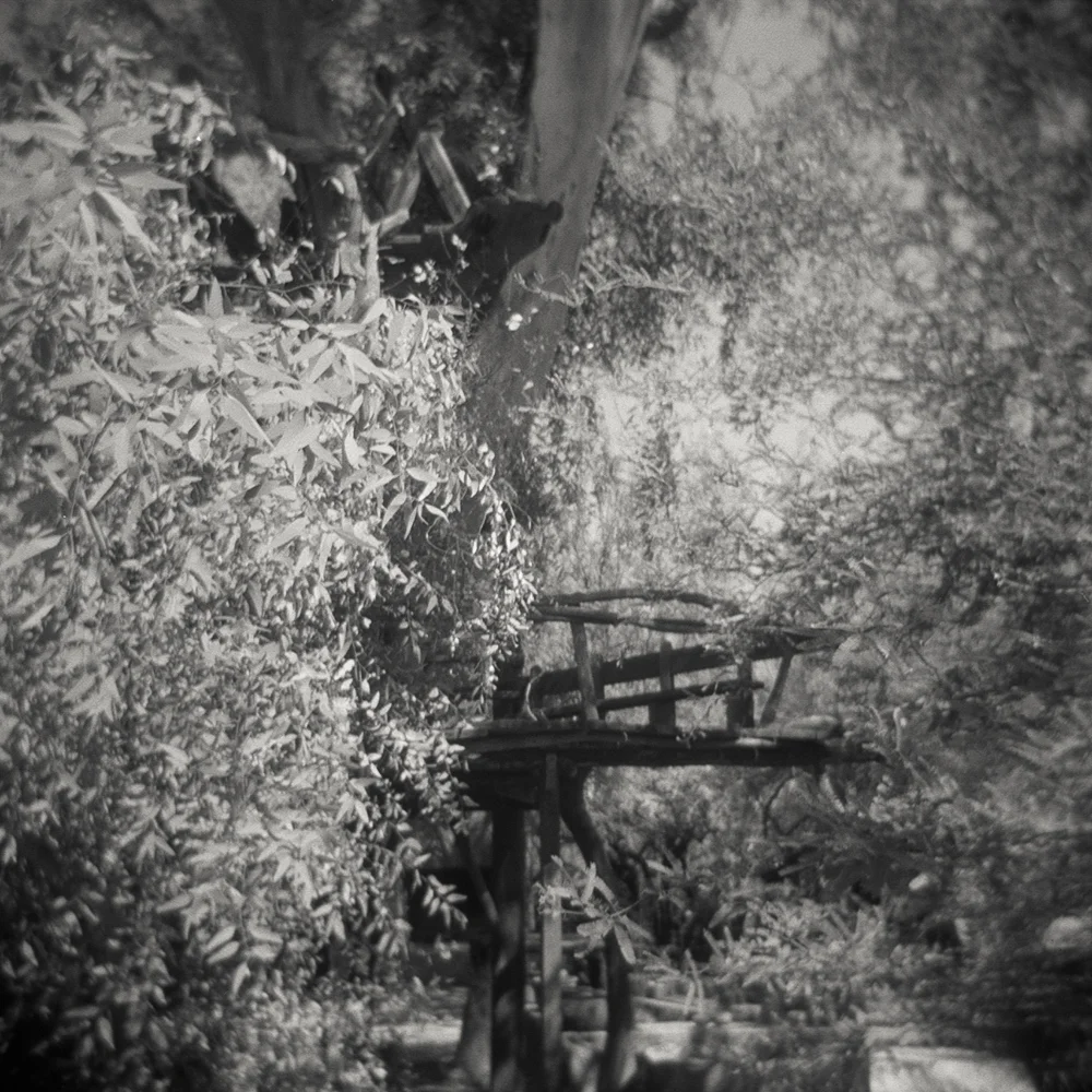 10/19 – Treehouse Gelatin Silver Print on Ilford Warmtone Fiber Paper © 2015, Gina DeGideo