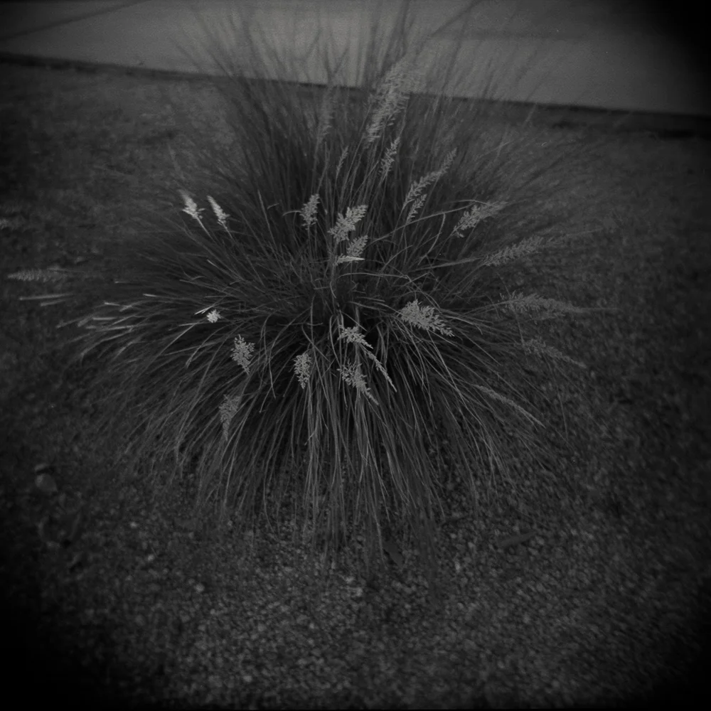 01/29 Gelatin Silver Print on Ilford Warmtone Fiber Paper © 2014, Gina DeGideo