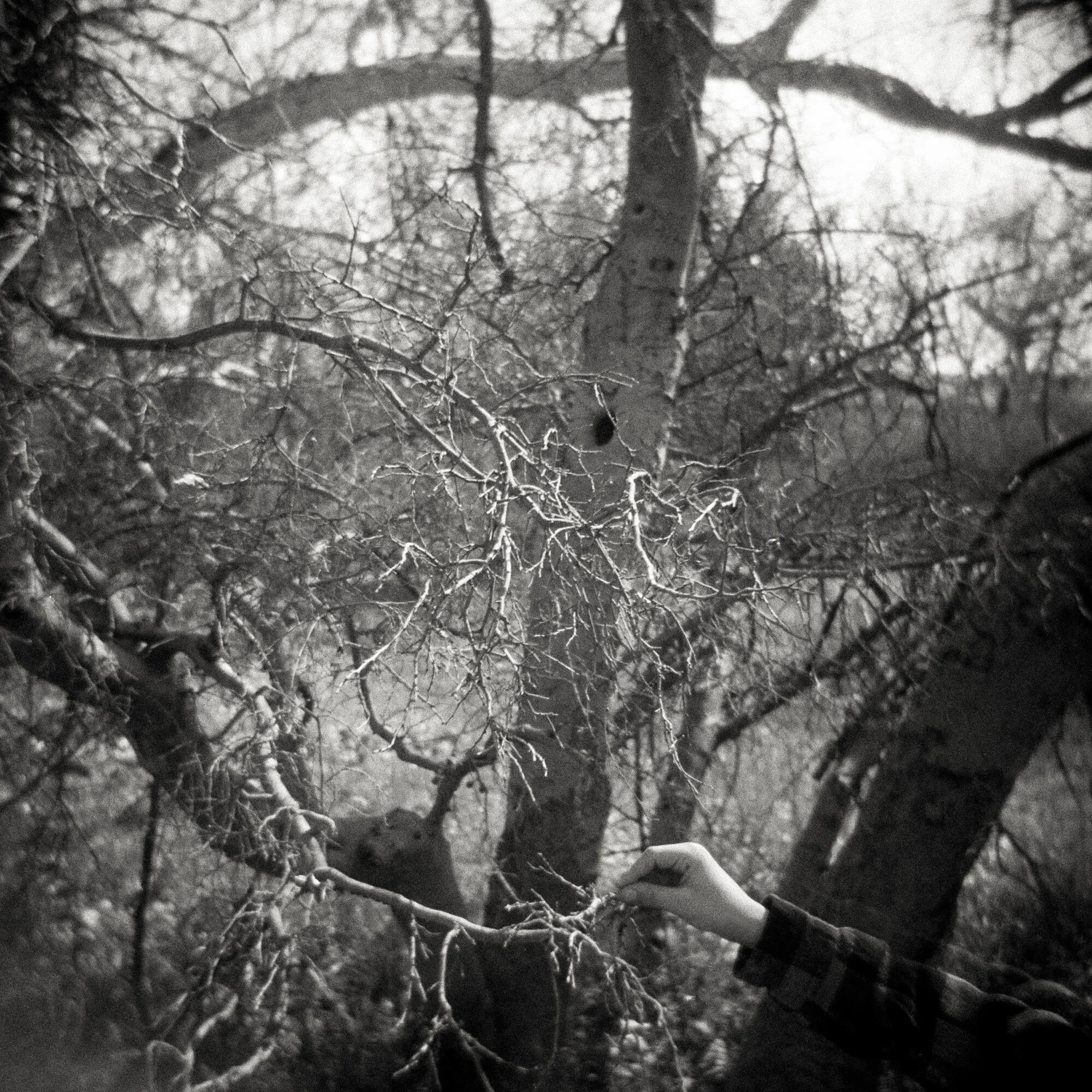 DeGideo Gina_03-22 - Grasping.jpg