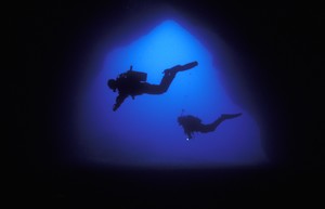 Diving.jpg