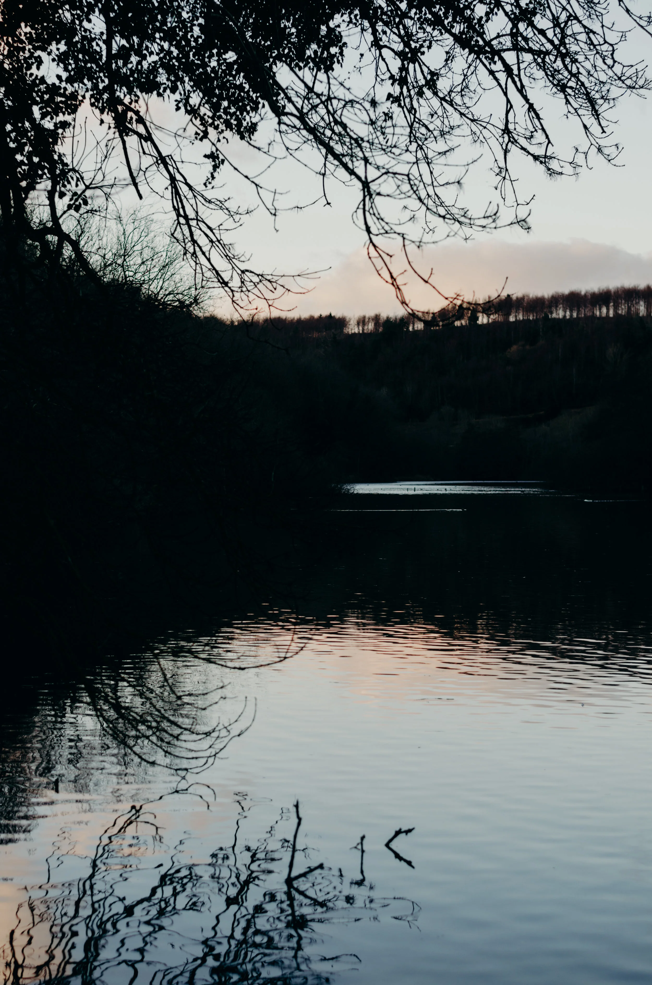 Arundel - Aiste Saulyte Photography - 2018-01-05-91.jpg