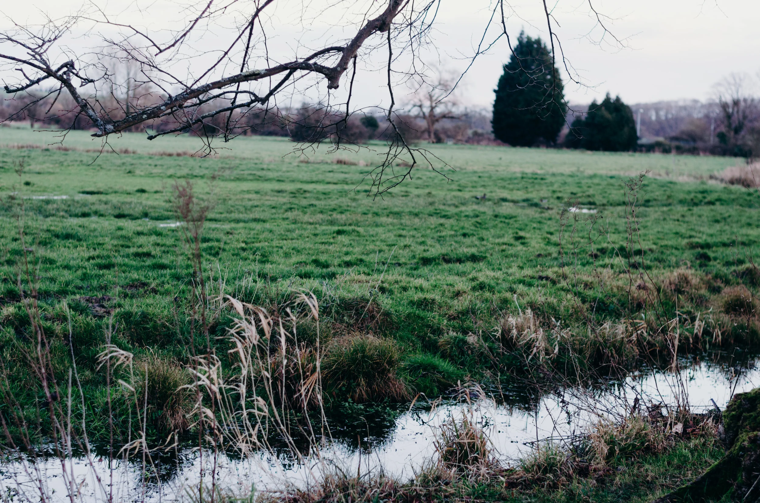 Arundel - Aiste Saulyte Photography - 2018-01-05-114.jpg