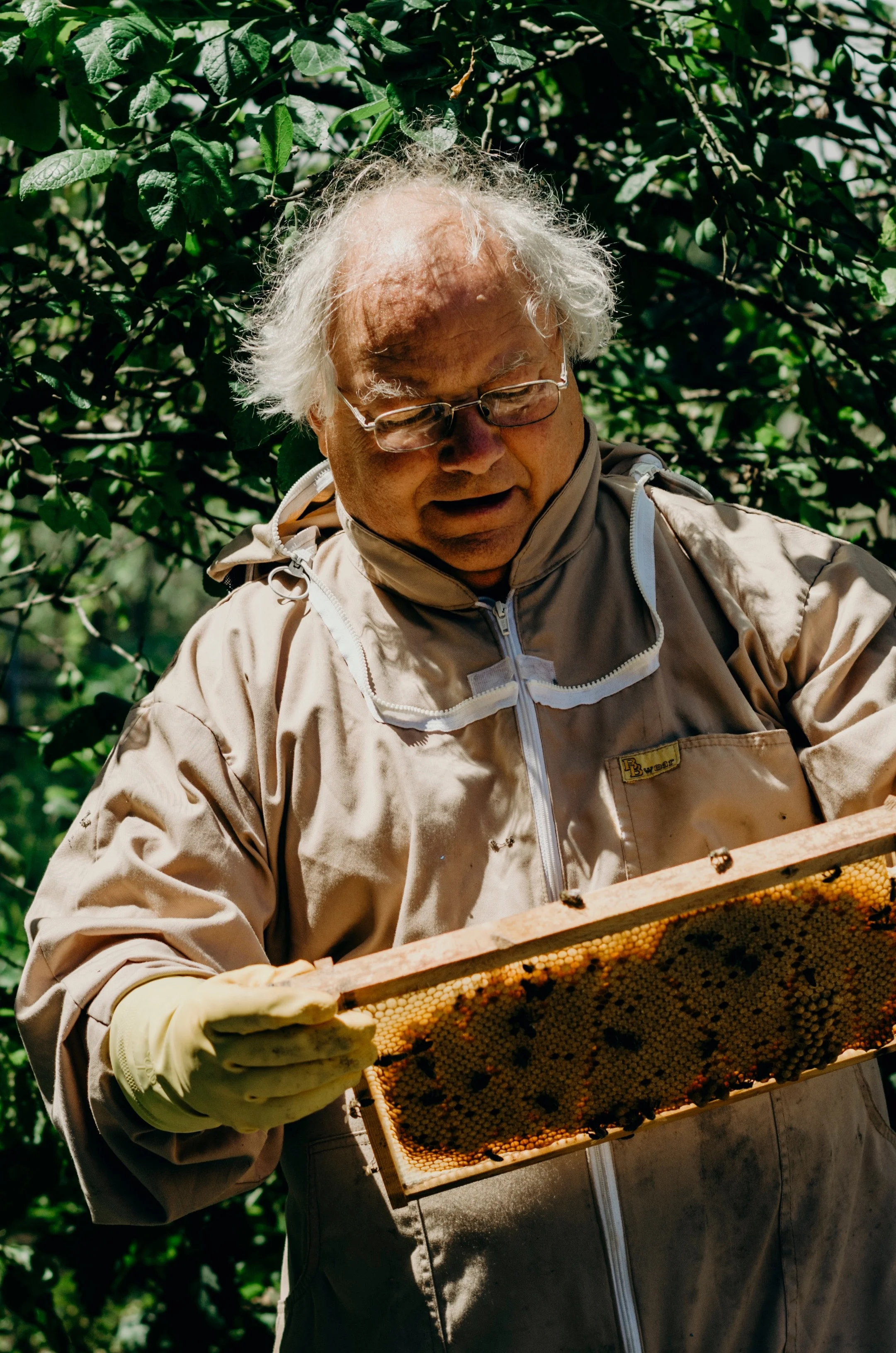 Beekeepers_23 copy.jpg