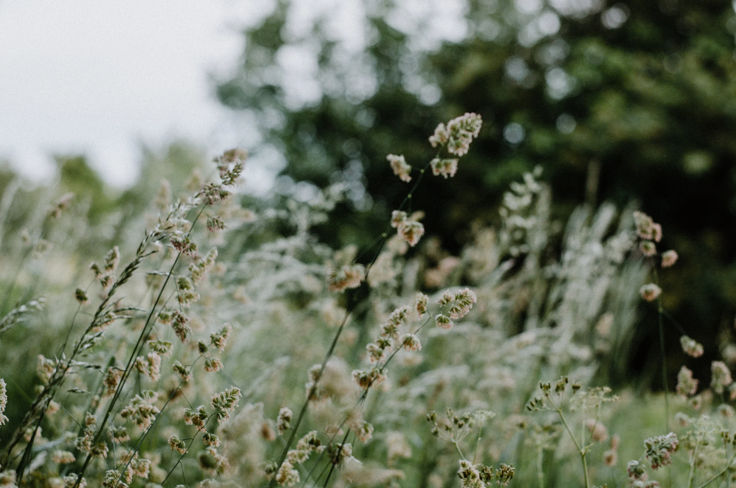 June 2018 - Aiste Saulyte Photography-4.jpg
