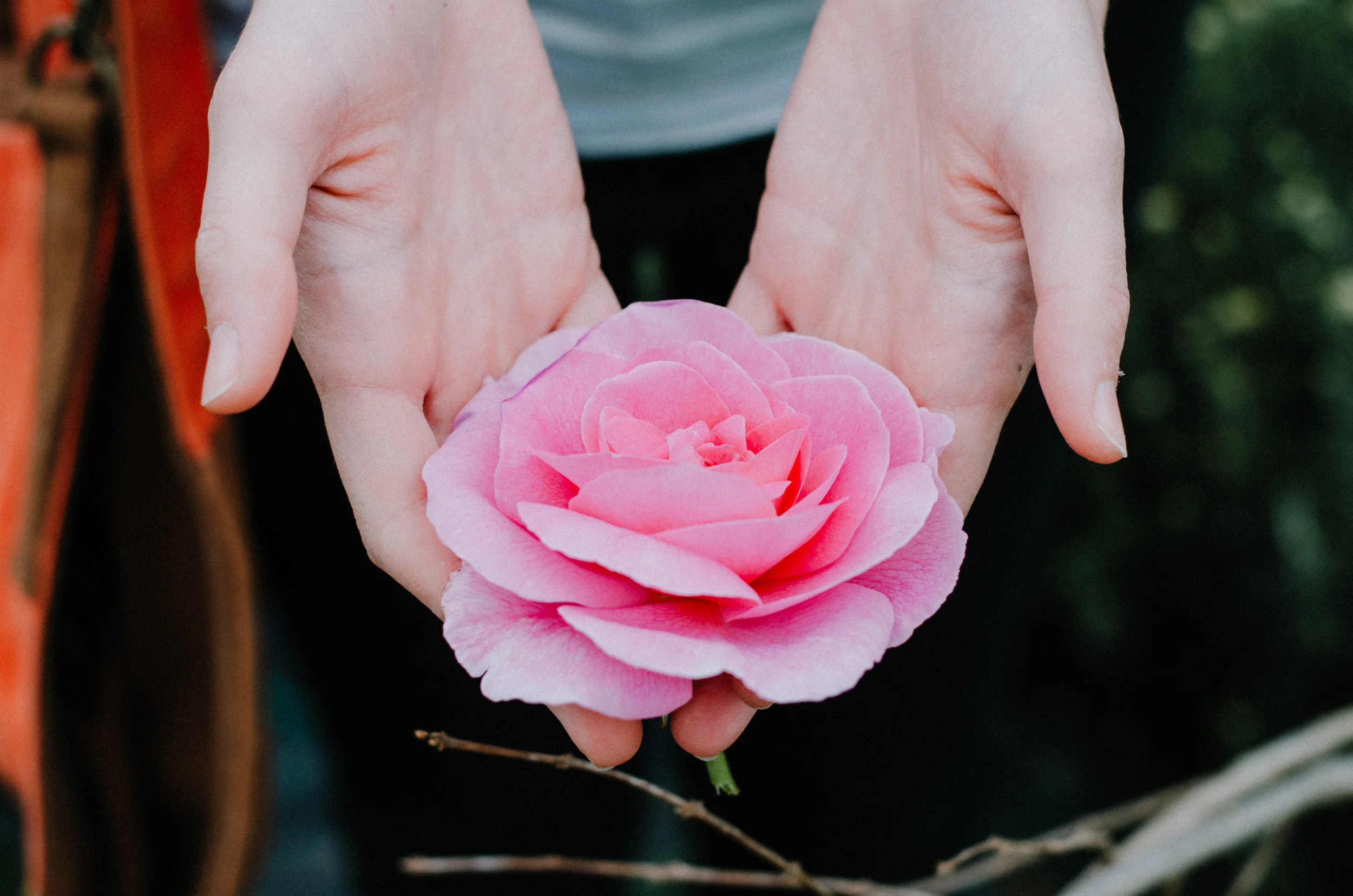 Fierce Botanics - Rose Picking - Aiste Saulyte Photography-44.jpg