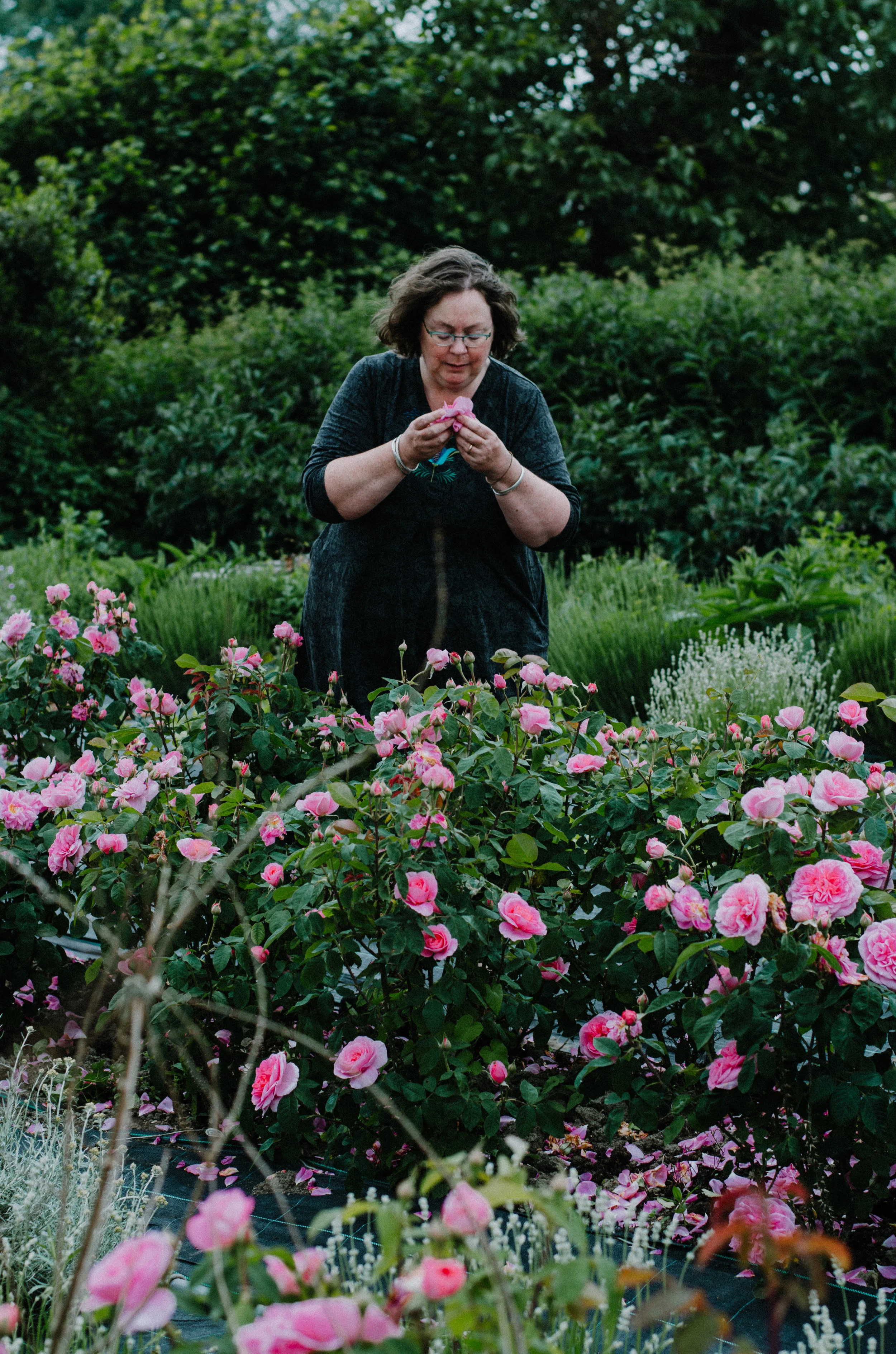 Fierce Botanics - Rose Picking - Aiste Saulyte Photography-47.jpg