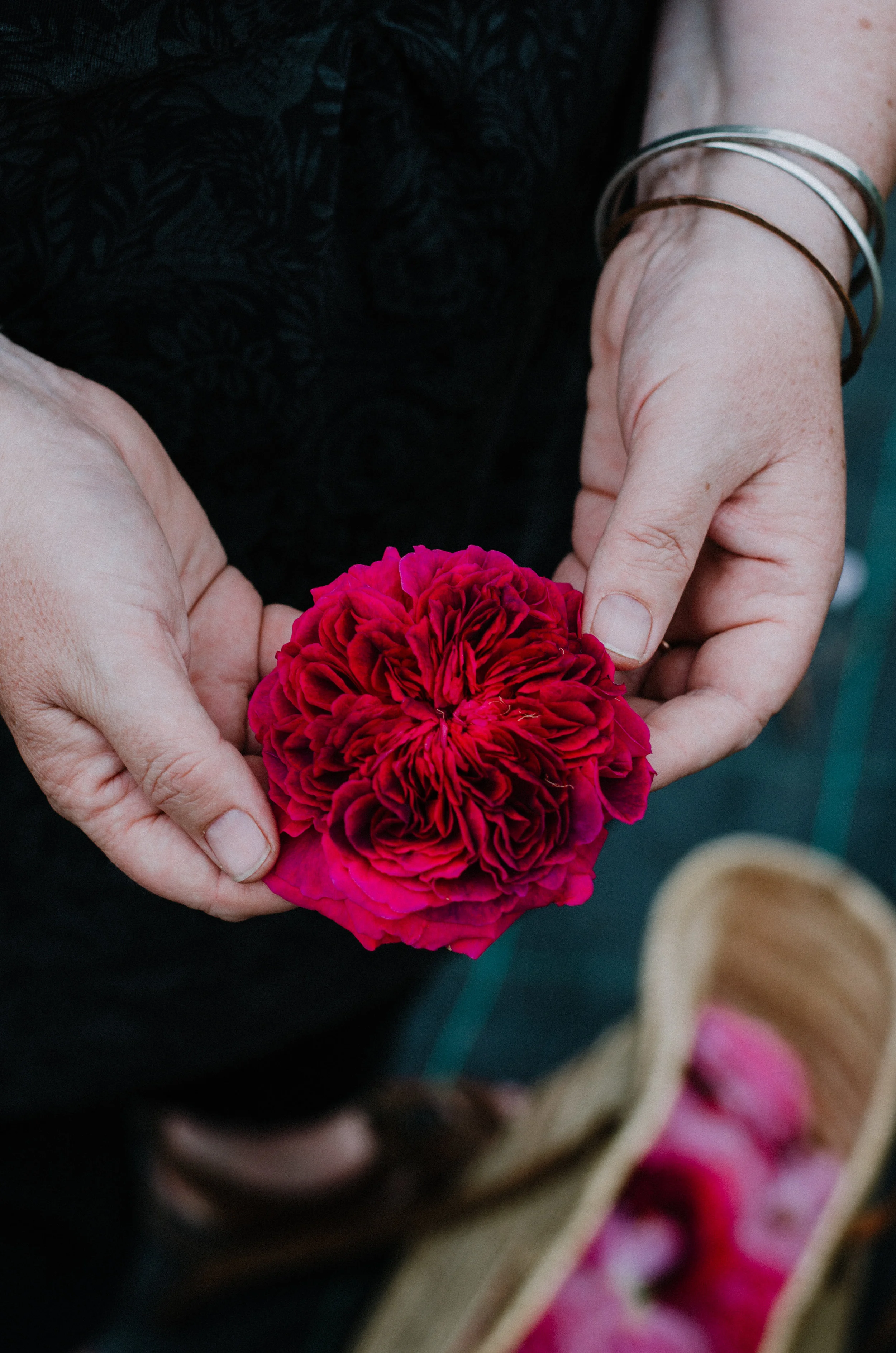 Fierce Botanics - Rose Picking - Aiste Saulyte Photography-91.jpg