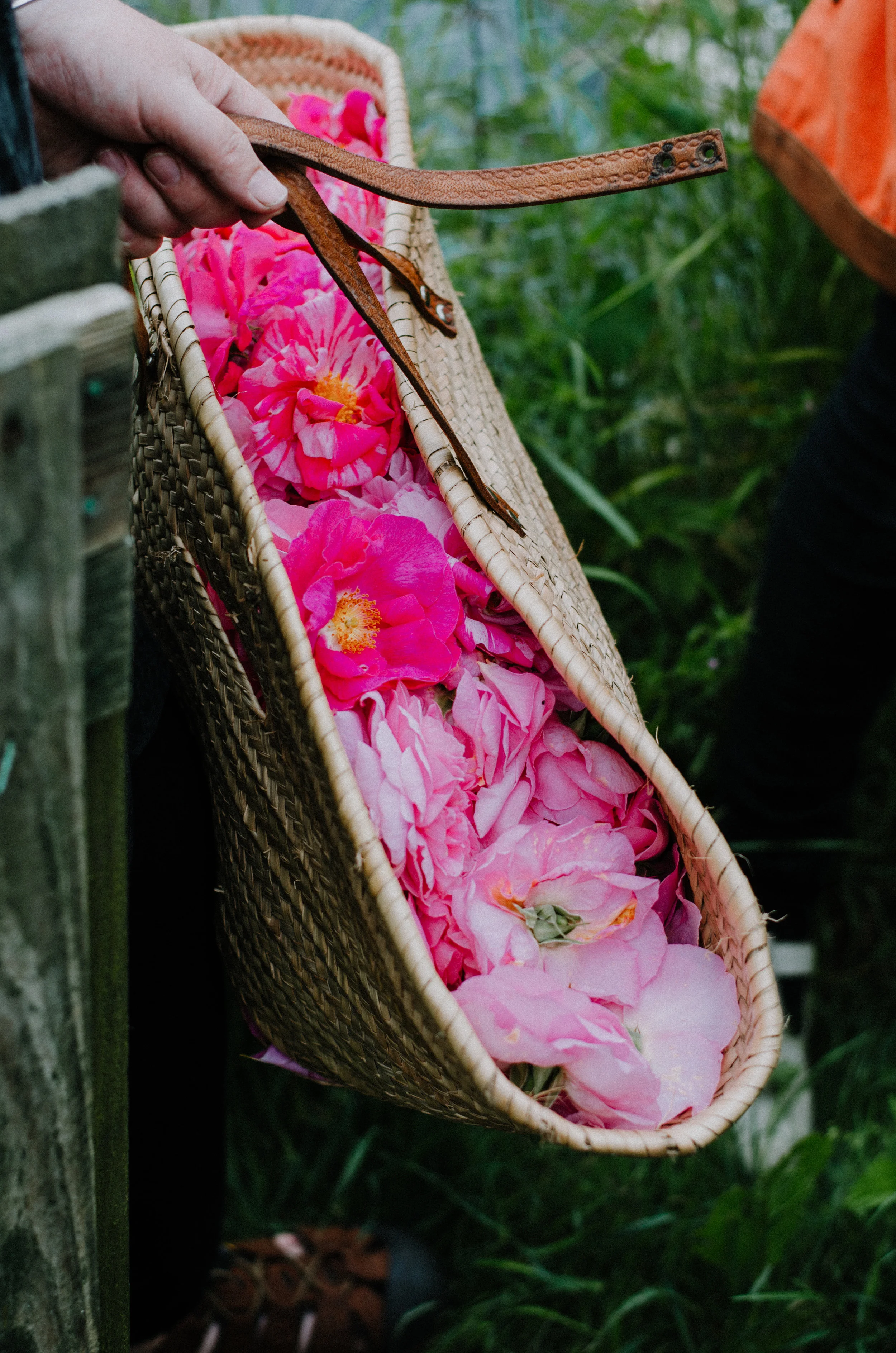 Fierce Botanics - Rose Picking - Aiste Saulyte Photography-120.jpg