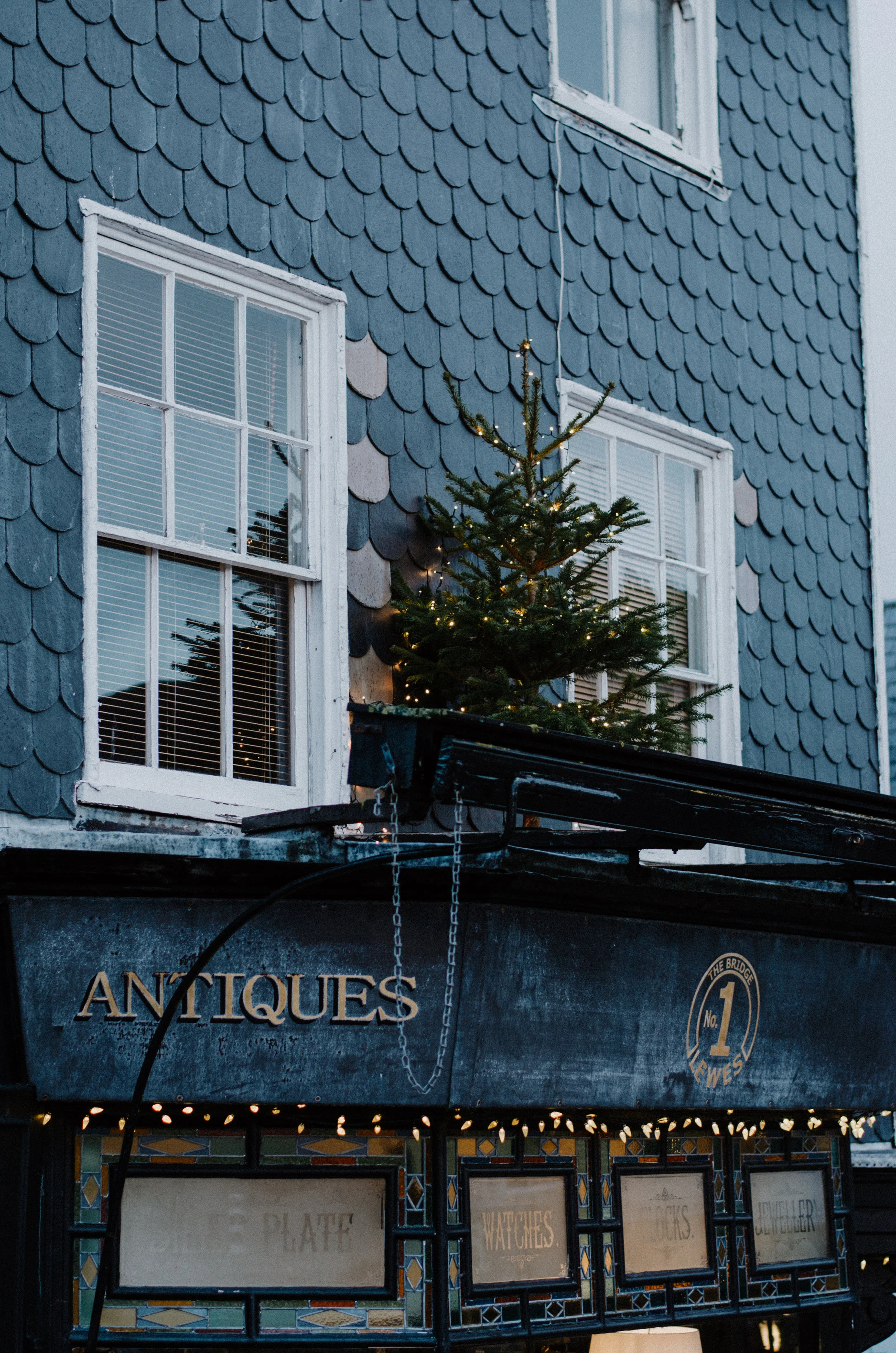 December Nature 2018 - Aiste Saulyte Photography-48.jpg