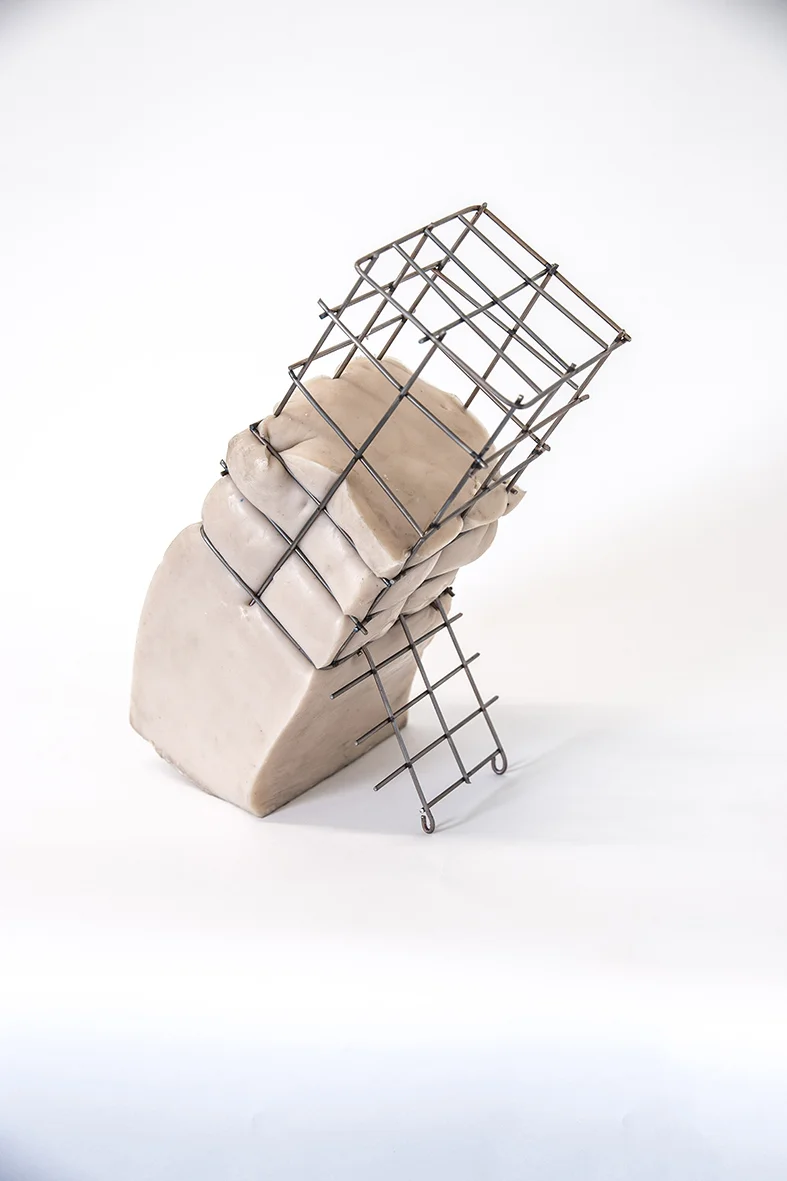 Catharina_Bond_Cage12019web.jpg