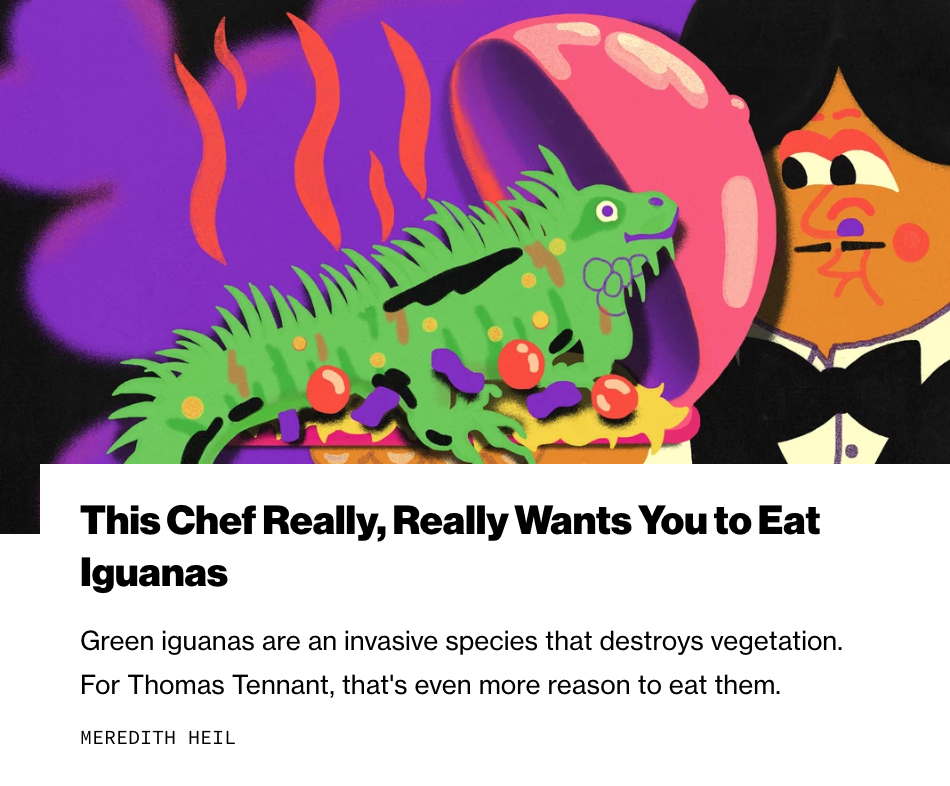 THIS CHEF REALLY, REALLY WANTS YOU TO EAT IGUANAS | MUNCHIES