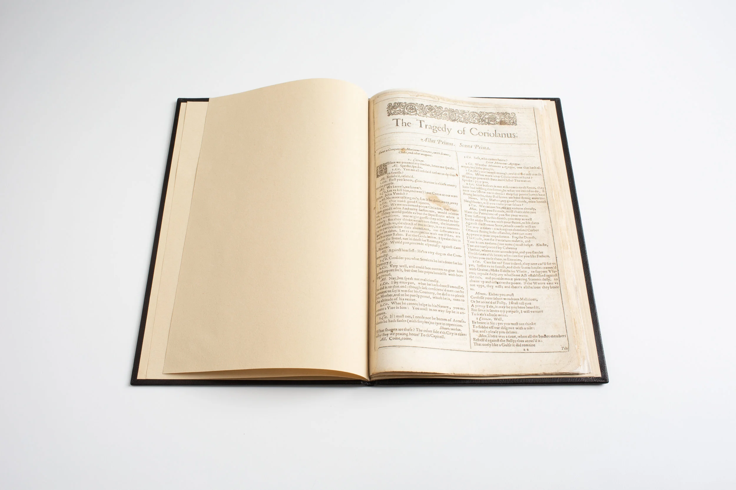 Uncommonbindery_Shakespeare_04.jpg
