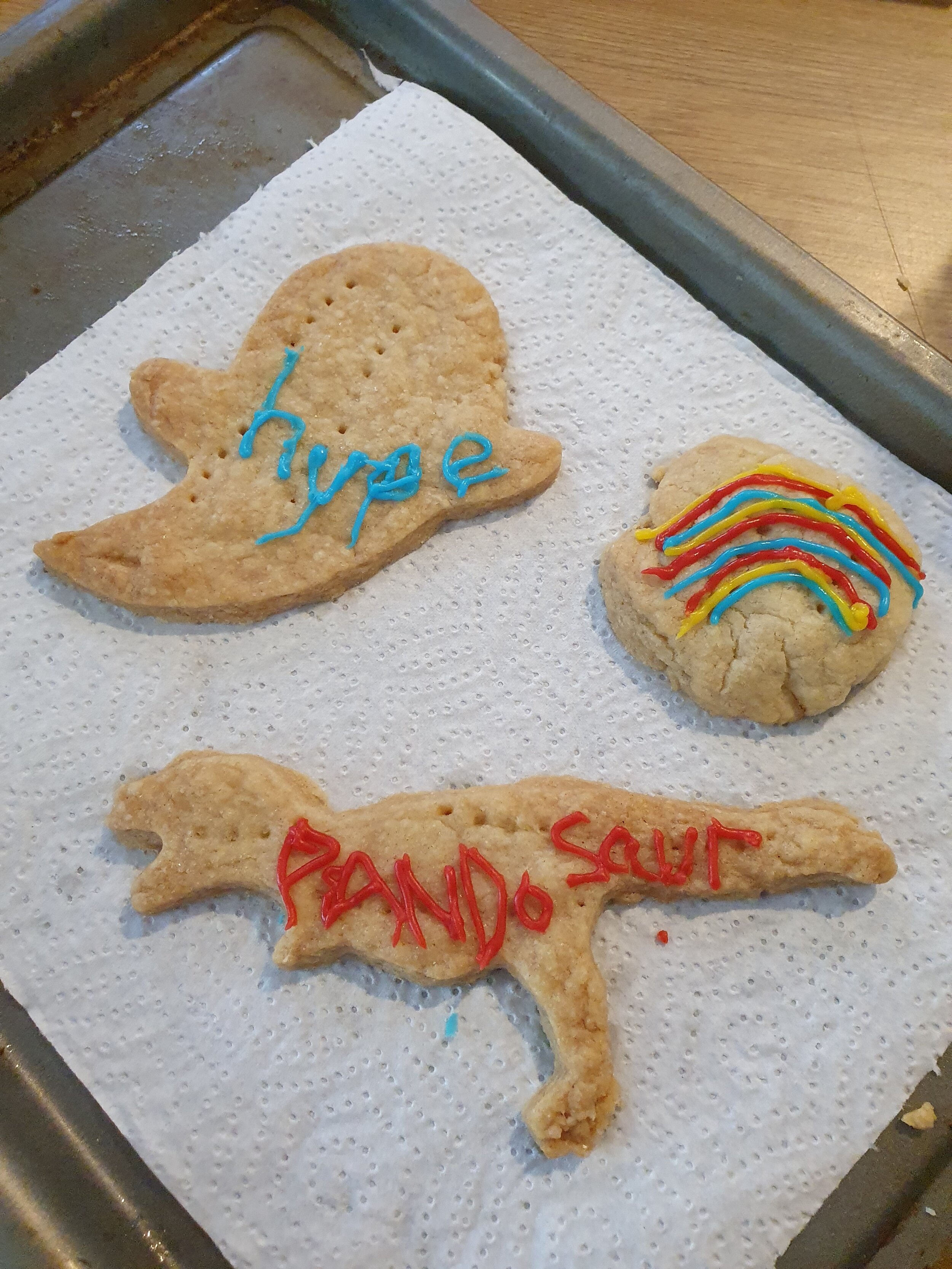 Rachel and Levi's Pandosaur biscuits