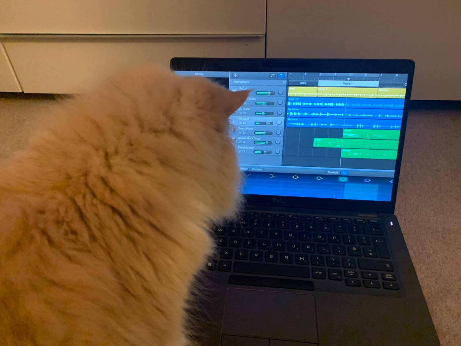 Monty mixing a new track