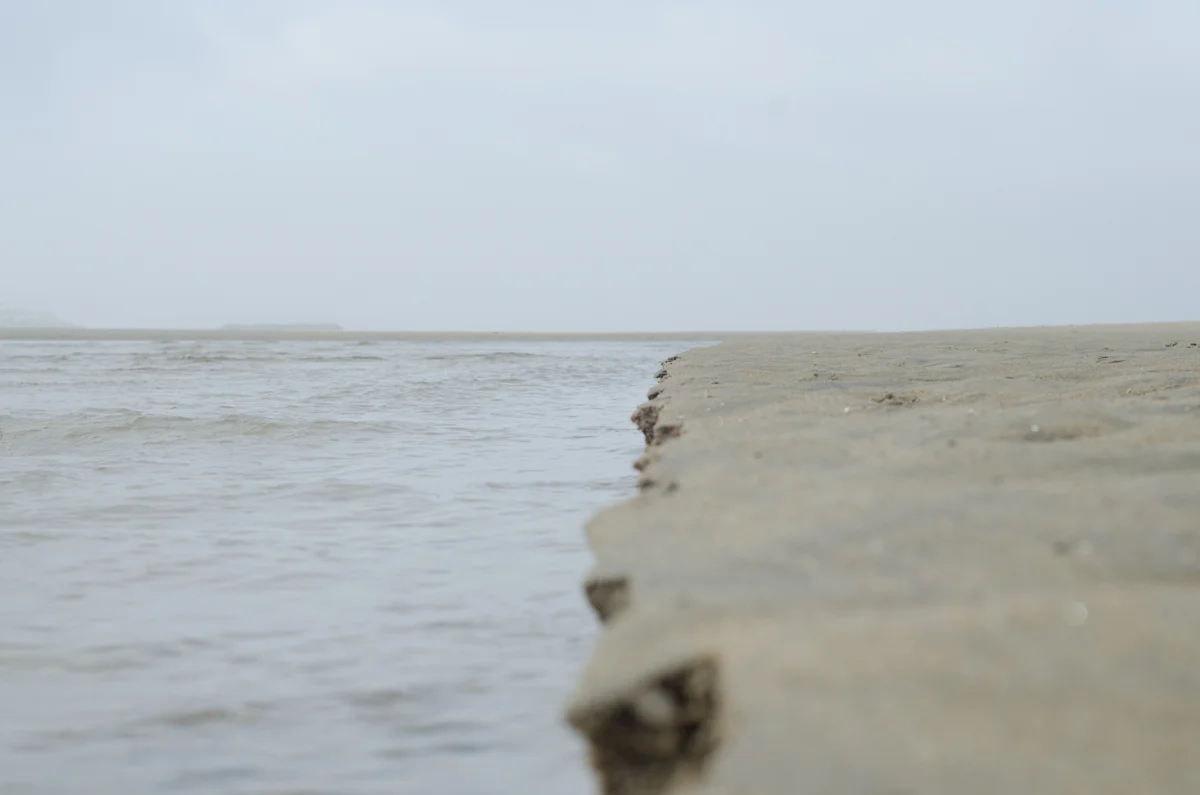 DSC_4140.jpg