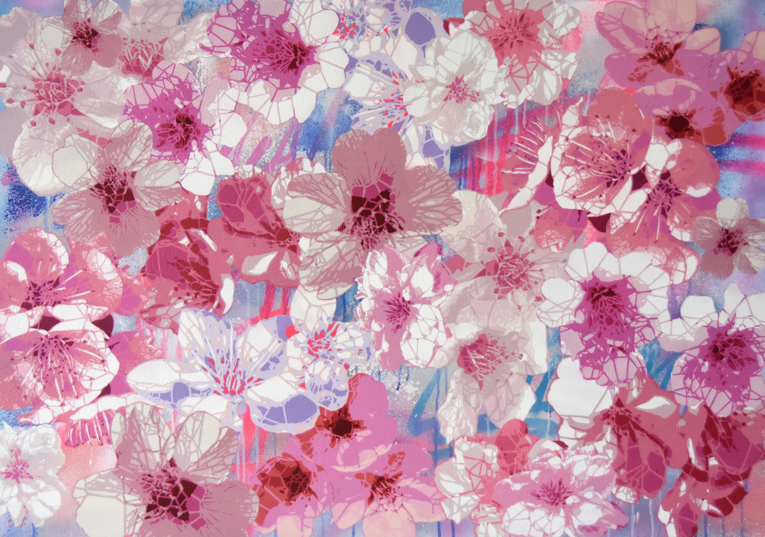 Sakura Hanami - Airglow