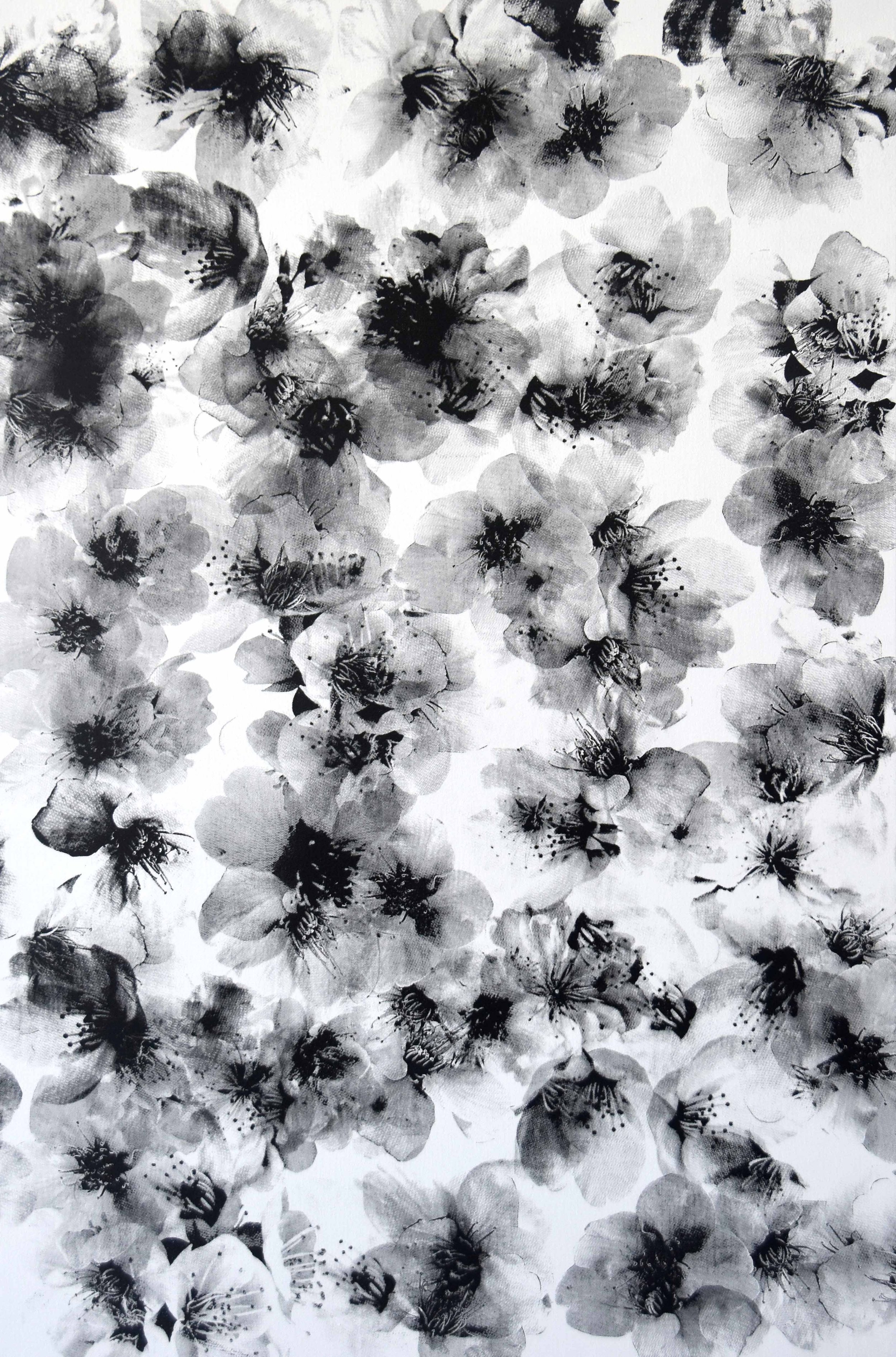 Sakura Utsuroi - Yohaku_LR.jpg