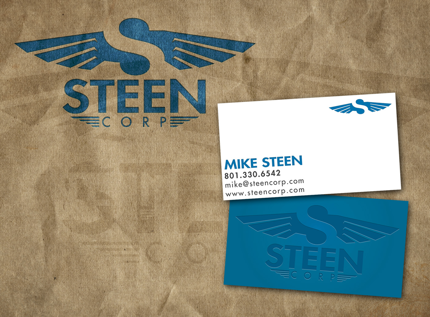 Steen Corp Logo Treatment and cards.jpg