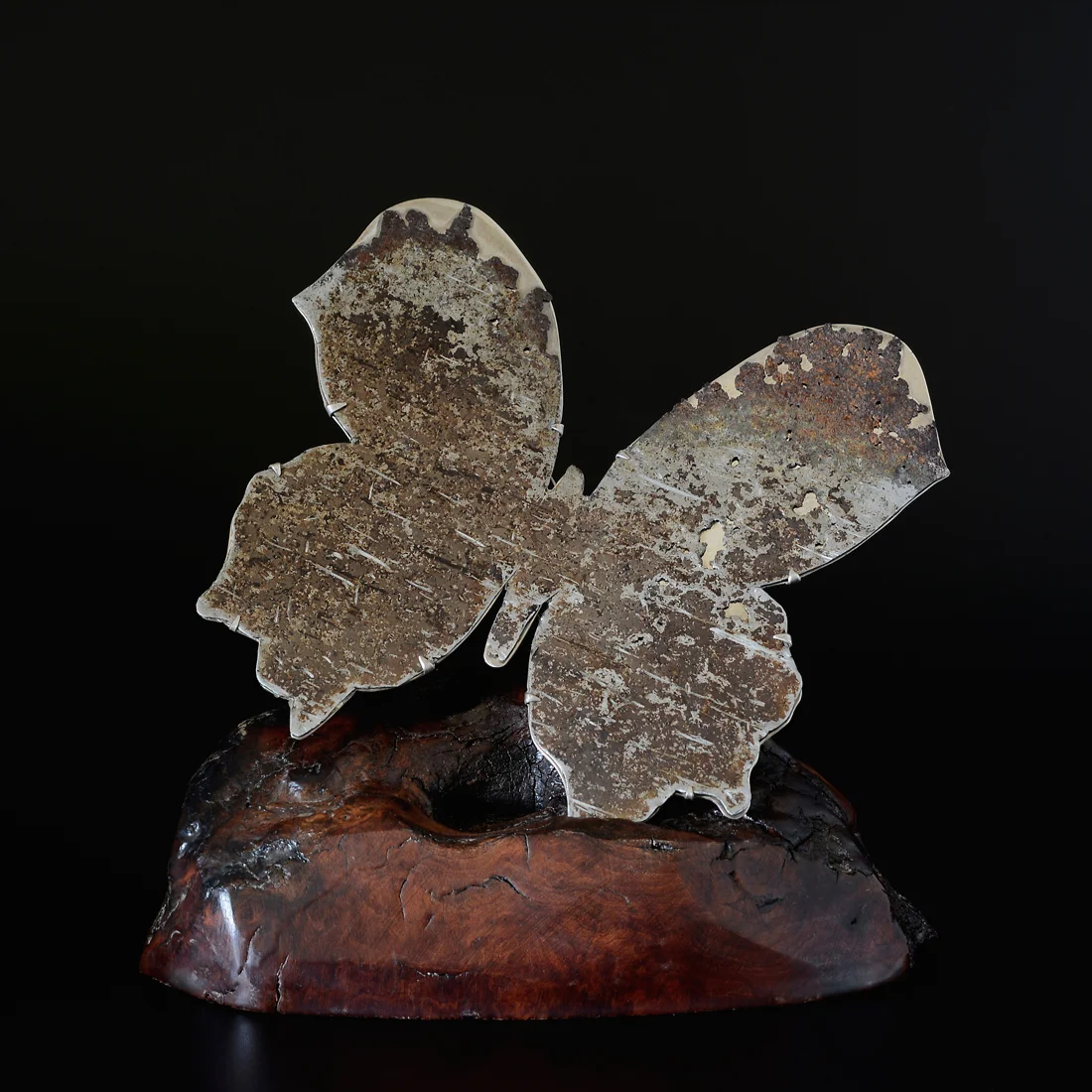 Butterfly Brooch Found Iron, Sterling