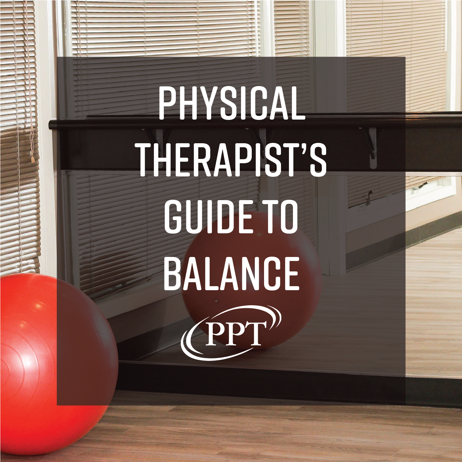 Physical Therapist's Guide to Balance Problems